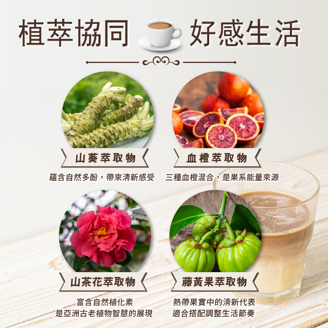 ALL_catalog_26A15_Jw3ptOs360