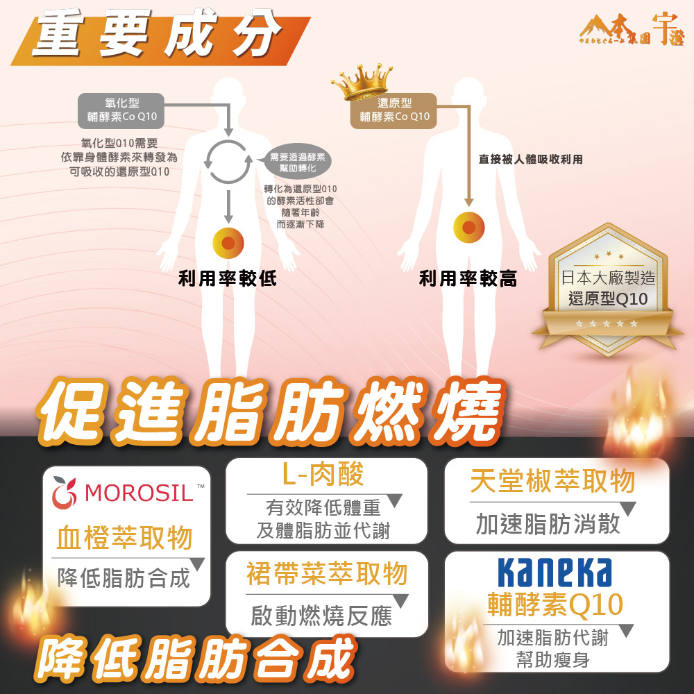 ALL_catalog_26A15_xAh9Fwnbt7