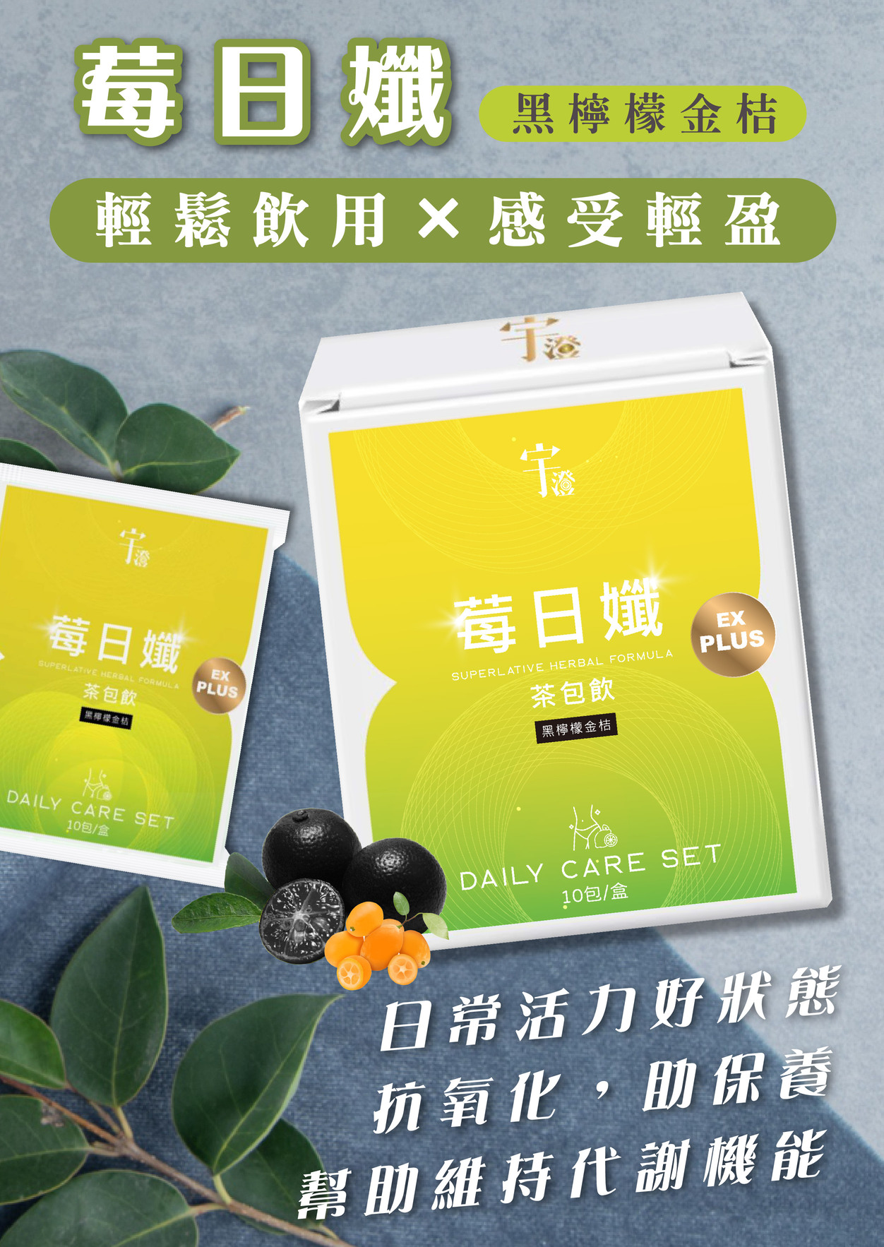 ALL_catalog_26A23_XsarA63y9p