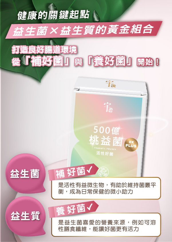 ALL_catalog_26A26_8dFCYEK7rk