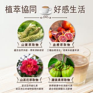 ALL_catalog_26A15_Jw3ptOs360