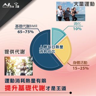 ALL_catalog_26A15_VV1n1LxCG6