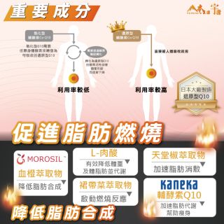 ALL_catalog_26A15_xAh9Fwnbt7